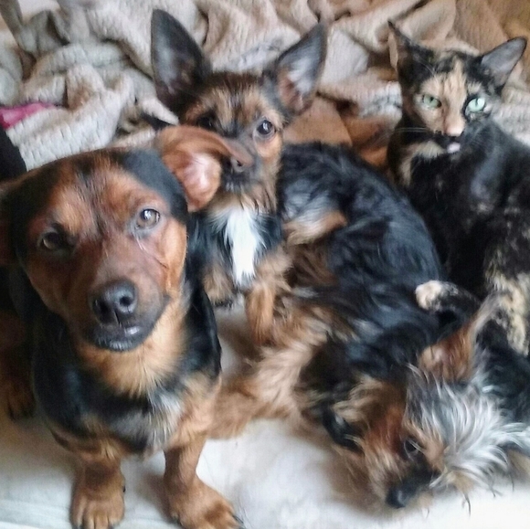 TRADE OR OFFERS  Wannatrade ? Let Me Know SHARE AND  I WILL SHARE - Picture 2 of 4